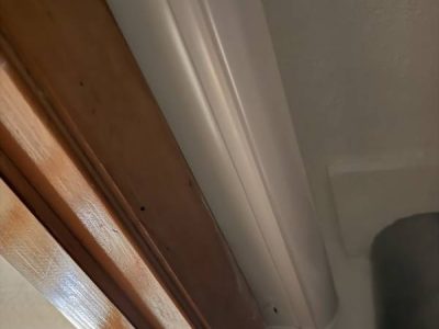 Electrical System Upgrade Service